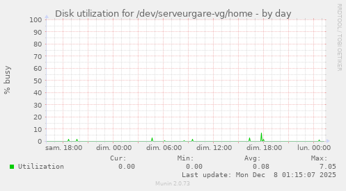 Disk utilization for /dev/serveurgare-vg/home